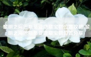 黎明之海巴斯蒂亚隐藏宝物位置攻略(黎明之海巴斯蒂亚隐藏宝物位置分享)