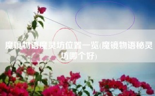 魔镜物语魔灵坊位置一览(魔镜物语秘灵坊哪个好)