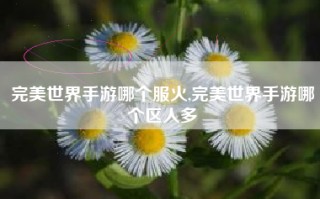完美世界手游哪个服火,完美世界手游哪个区人多