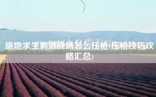 绝地求生刺激战场怎么压枪(压枪技巧攻略汇总)