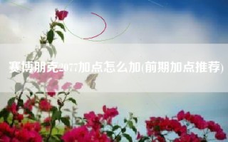 赛博朋克2077加点怎么加(前期加点推荐)