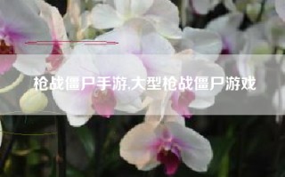 枪战僵尸手游,大型枪战僵尸游戏