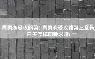直男恋爱攻略第3(直男恋爱攻略第三章告白关怎样向她求婚)