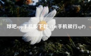 球吧app手机版下载 v1.0(手机银行apP)