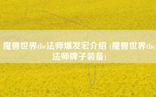 魔兽世界tbc法师爆发宏介绍 (魔兽世界tbc法师牌子装备)