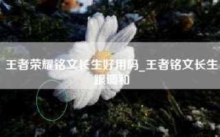 王者荣耀铭文长生好用吗_王者铭文长生跟调和