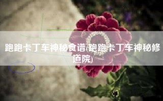 跑跑卡丁车神秘食谱(跑跑卡丁车神秘修道院)