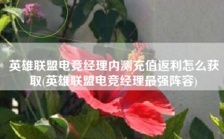 英雄联盟电竞经理内测充值返利怎么获取(英雄联盟电竞经理最强阵容)