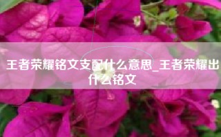 王者荣耀铭文支配什么意思_王者荣耀出什么铭文