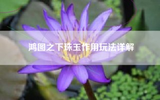 鸿图之下珠玉作用玩法详解
