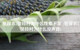 纸嫁衣2奘铃村为什么线索不足 (纸嫁衣2奘铃村为什么没声音)