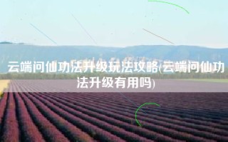 云端问仙功法升级玩法攻略(云端问仙功法升级有用吗)