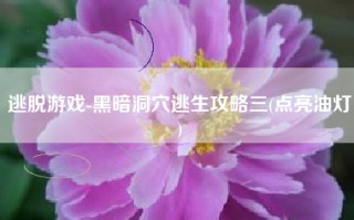逃脱游戏-黑暗洞穴逃生攻略三(点亮油灯)