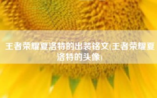 王者荣耀夏洛特的出装铭文(王者荣耀夏洛特的头像)