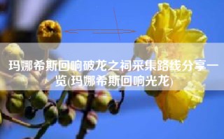 玛娜希斯回响破龙之祠采集路线分享一览(玛娜希斯回响光龙)