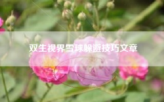 双生视界雪球躲避技巧文章