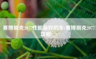 赛博朋克2077性能最好的车(赛博朋克2077攻略)_2