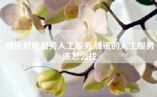 腾讯游戏服务人工服务,腾讯的人工服务该怎么找
