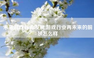未来游戏行业发展,游戏行业再未来的前景怎么样