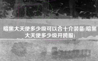 暗黑大天使多少级可以合十介装备(暗黑大天使多少级开跨服)