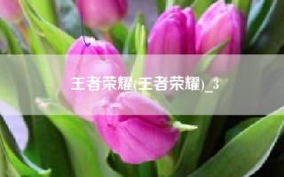 王者荣耀(王者荣耀)_3