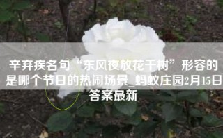 辛弃疾名句“东风夜放花千树”形容的是哪个节日的热闹场景_蚂蚁庄园2月15日答案最新