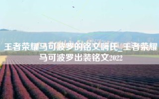 王者荣耀马可波罗的铭文嗨氏_王者荣耀马可波罗出装铭文2022