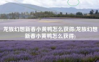 龙族幻想新春小黄鸭怎么获得(龙族幻想新春小黄鸭怎么获得)