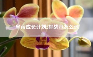 皇帝成长计划2挑战八怎么过