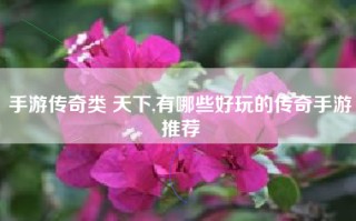 手游传奇类 天下,有哪些好玩的传奇手游推荐