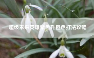超级未来英雄紫色升橙色打法攻略