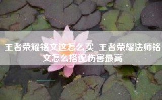 王者荣耀铭文这怎么买_王者荣耀法师铭文怎么搭配伤害最高