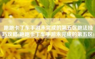 跑跑卡丁车手游未完成的第五区跑法技巧攻略(跑跑卡丁车手游未完成的第五区)