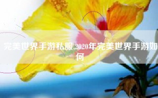完美世界手游私服,2020年完美世界手游如何