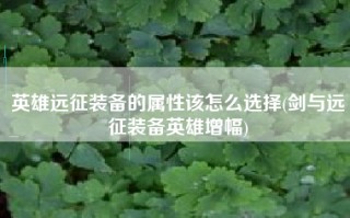 英雄远征装备的属性该怎么选择(剑与远征装备英雄增幅)