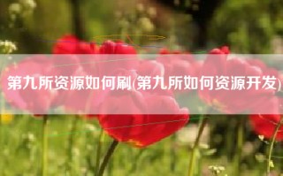 第九所资源如何刷(第九所如何资源开发)