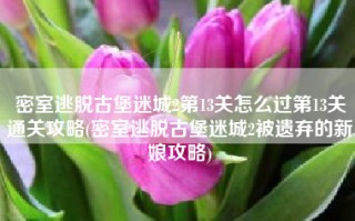 密室逃脱古堡迷城2第13关怎么过第13关通关攻略(密室逃脱古堡迷城2被遗弃的新娘攻略)