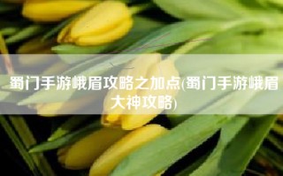 蜀门手游峨眉攻略之加点(蜀门手游峨眉大神攻略)