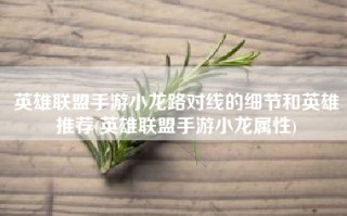 英雄联盟手游小龙路对线的细节和英雄推荐(英雄联盟手游小龙属性)