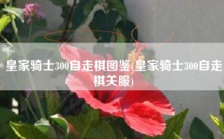 皇家骑士300自走棋图鉴(皇家骑士300自走棋关服)