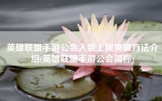 英雄联盟手游公会人数上限突破方法介绍(英雄联盟手游公会简称)