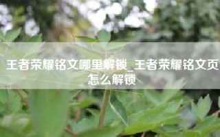 王者荣耀铭文哪里解锁_王者荣耀铭文页怎么解锁