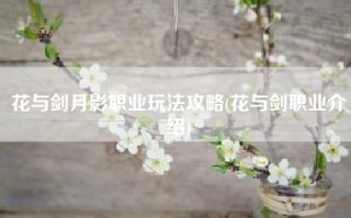 花与剑月影职业玩法攻略(花与剑职业介绍)