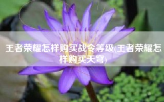 王者荣耀怎样购买战令等级(王者荣耀怎样购买天穹)