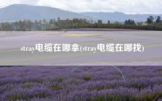 stray电缆在哪拿(stray电缆在哪找)