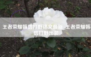 王者荣耀韩信打野铭文最新_王者荣耀韩信打野出装