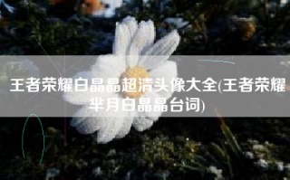 王者荣耀白晶晶超清头像大全(王者荣耀芈月白晶晶台词)