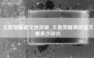 王者荣耀铭文迷你器_王者荣耀满级铭文要多少碎片
