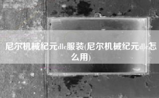 尼尔机械纪元dlc服装(尼尔机械纪元dlc怎么用)
