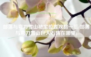 部落与弯刀雪山秘宝位置攻略一览(部落与弯刀雪山巨人石阵在哪里)